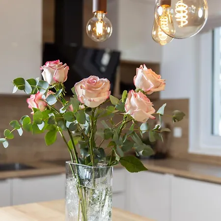 Luxury Hyperion With Private Pool And Garden 公寓 *