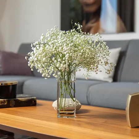 Luxury Hyperion With Private Pool And Garden 公寓 *